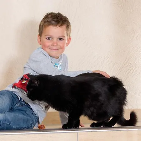 Alpendiamant Wachter Gmbh 4* Serfaus